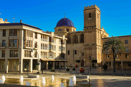 Elche am spanischen Mittelmeer Elche in Spanien