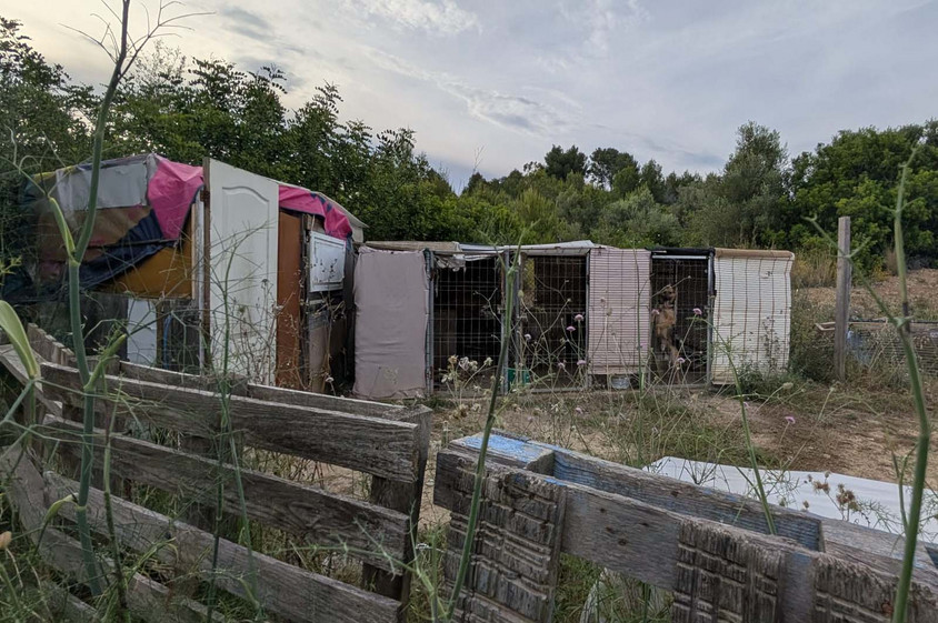 Tierqu&auml;lerei in Spanien