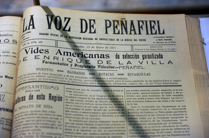 Historische Zeitung aus dem Weinmuseum der Burg Penafiel, Foto Tobias Büscher