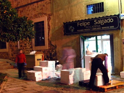 Fischhändler in Spanien. Foto: Tobias Büscher Fischhandel in Spanien