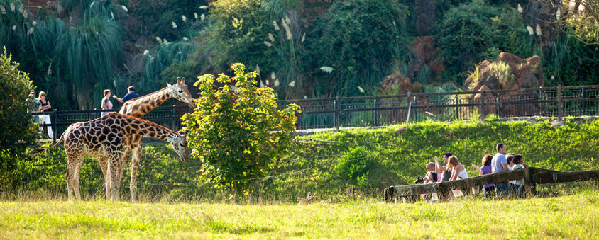 Tierpark nahe Santander