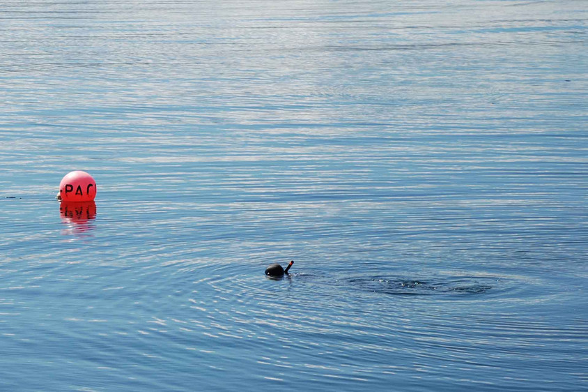 Taucher im Meer Taucher im Meer