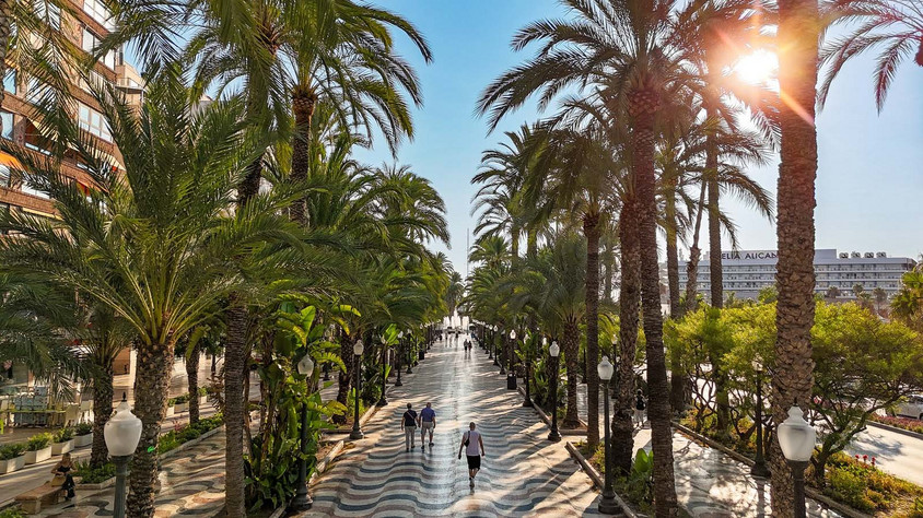 Alicante Alicante