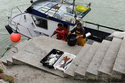 Fischer in Asturien bei der Arbeit,
