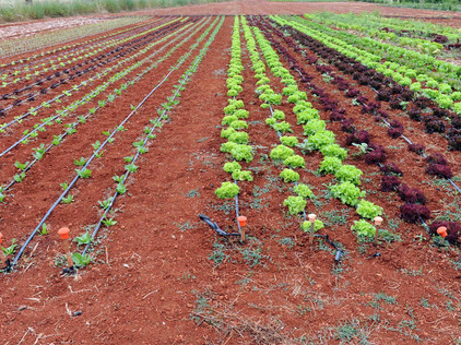 Klimaschutz in Spanien