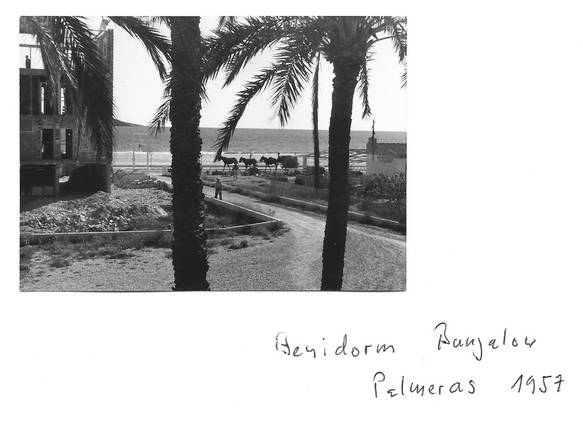 Las Palmeras Las Palmeras