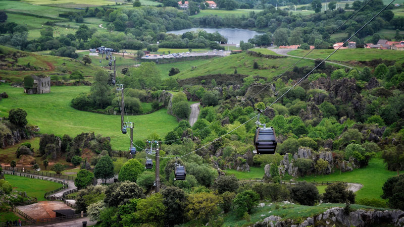 Mit der Seilbahn über die Tierwelt schweben