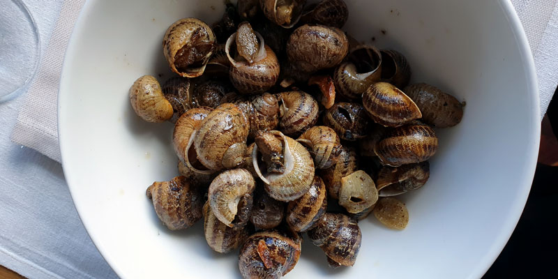 Caracoles aus Spanien